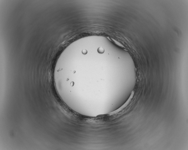 X0000111050568200907161407