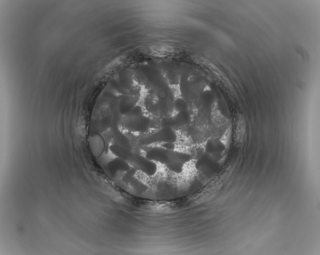 X0000111050569200907161407