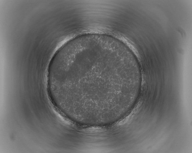 X0000111050578200907161407