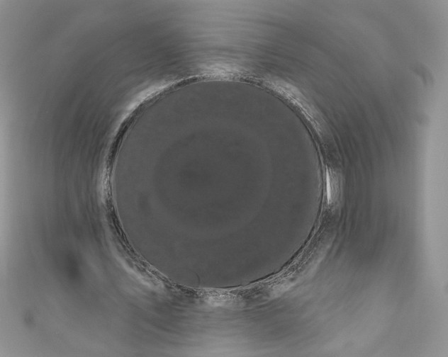 X0000111050579200907161407