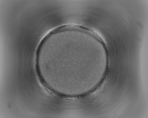 X0000111050580200907161407