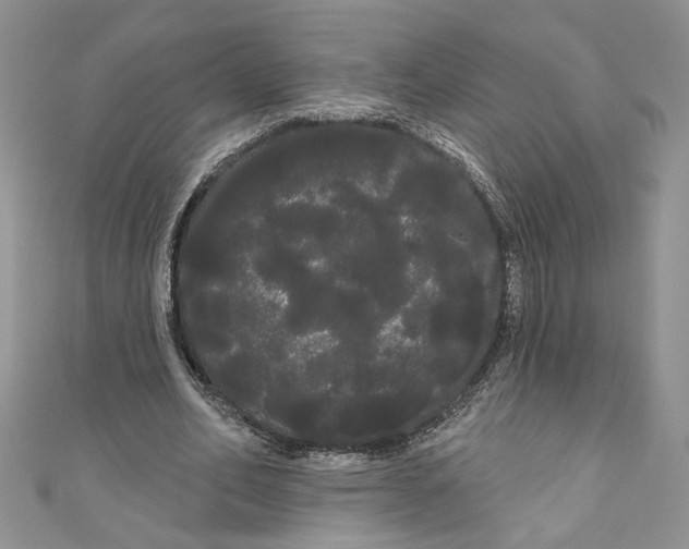 X0000111050582200907161407