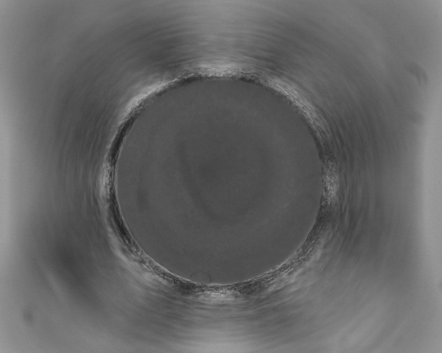 X0000111050583200907161407