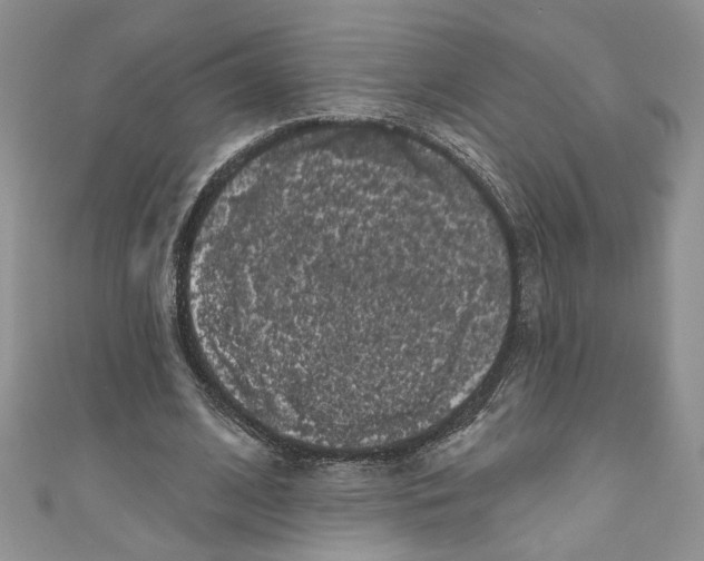 X0000111050584200907161407