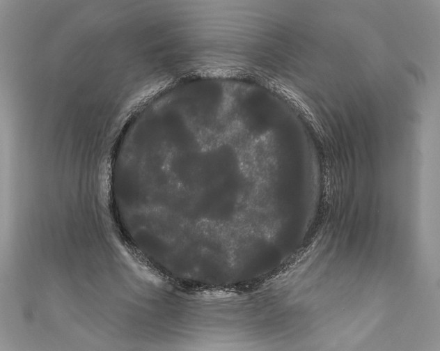 X0000111050586200907161407