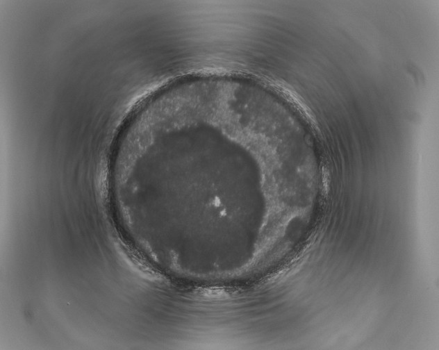 X0000111050588200907161407