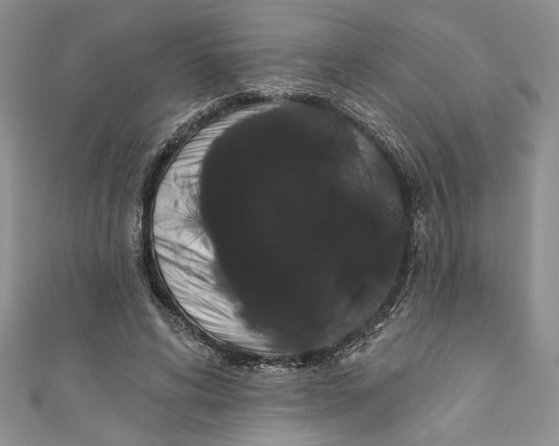 X0000111050592200907161407