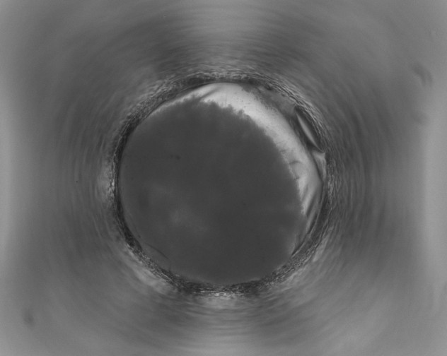 X0000111050593200907161407