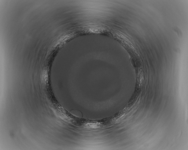 X0000111050595200907161407