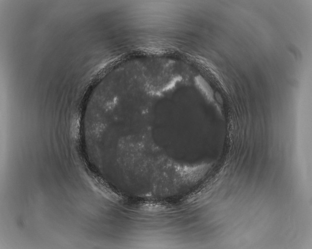 X0000111050596200907161407