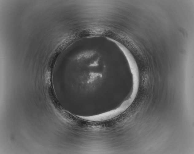 X0000111050598200907161407