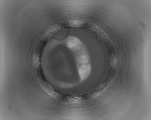 X0000111050599200907161407