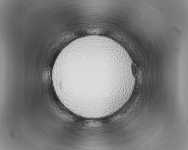 X0000111050601200907161407