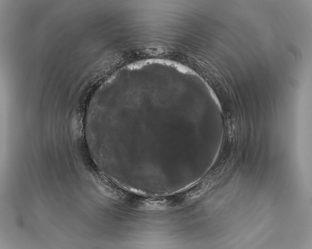 X0000111050606200907161407