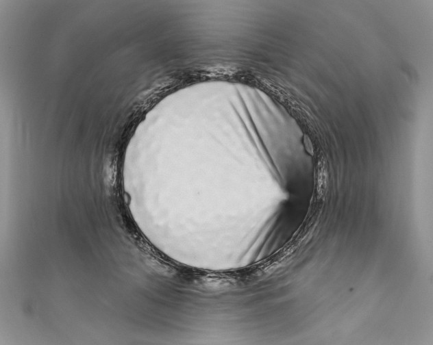 X0000111050608200907161407