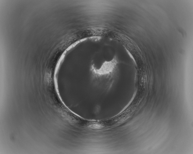 X0000111050610200907161406