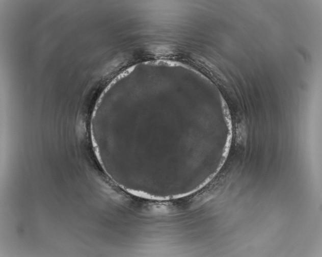 X0000111050618200907161406