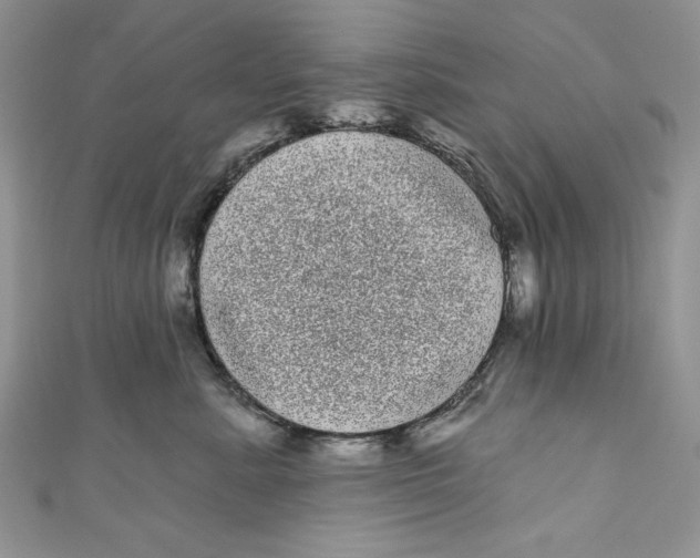 X0000111050619200907161406