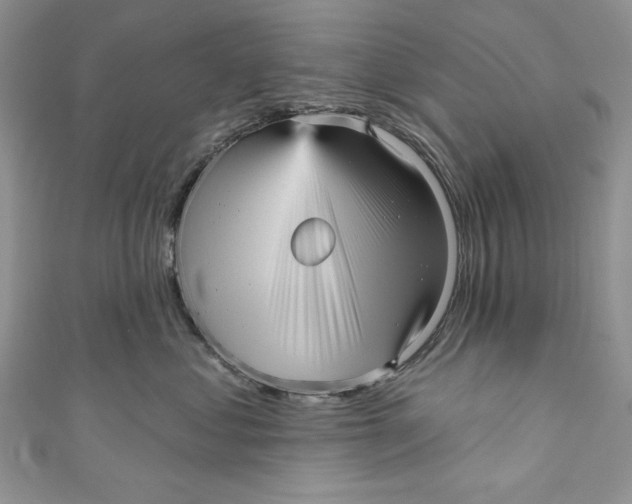 X0000111050621200907161406