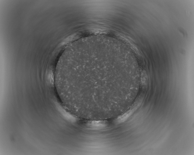 X0000111050622200907161406