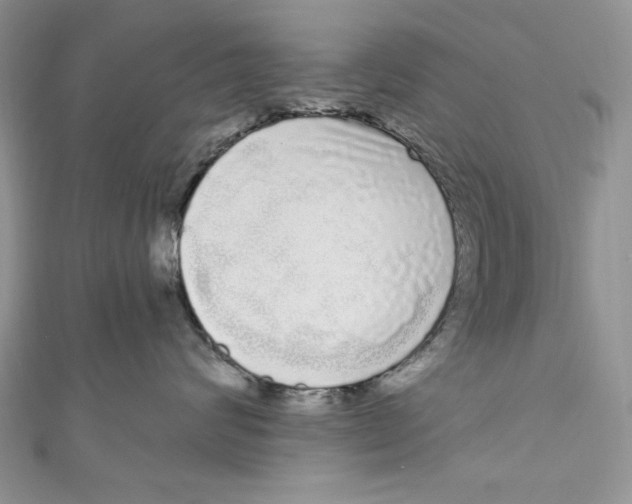 X0000111050624200907161406