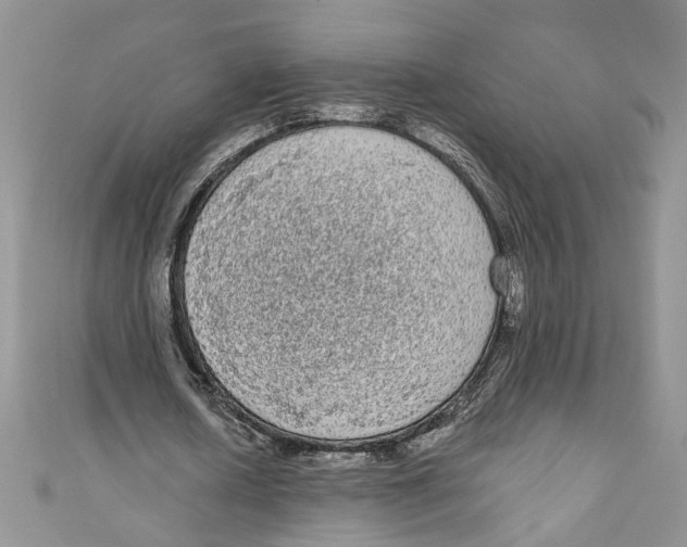 X0000111050626200907161406