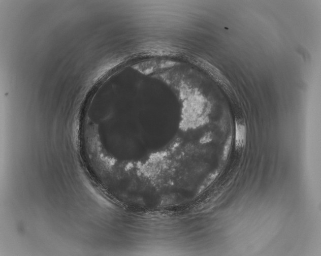 X0000111050627200907161406