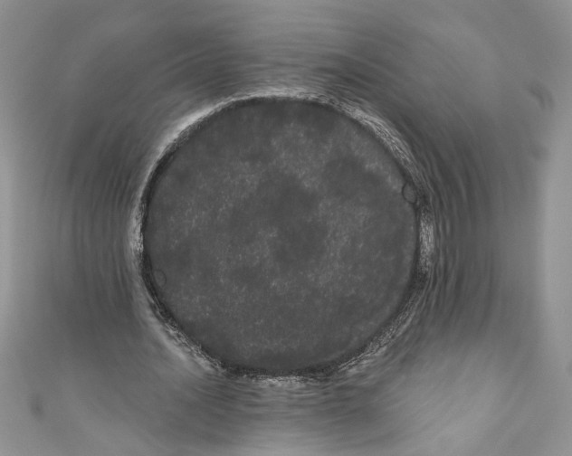 X0000111050628200907161406