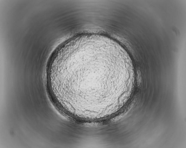 X0000111050630200907161406