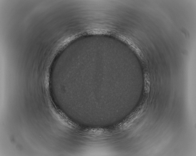 X0000111050631200907161406