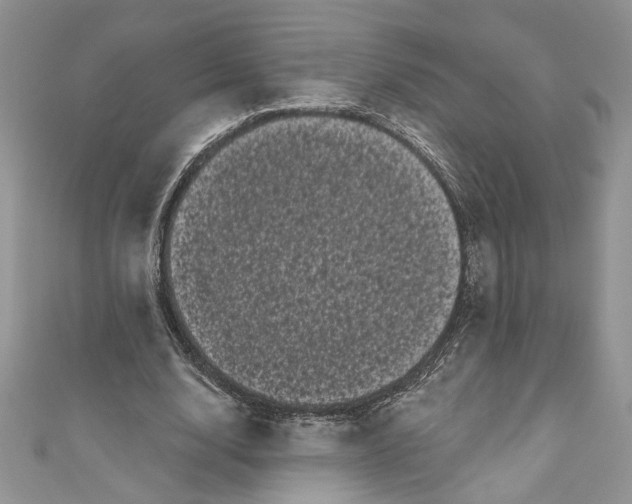 X0000111050632200907161406