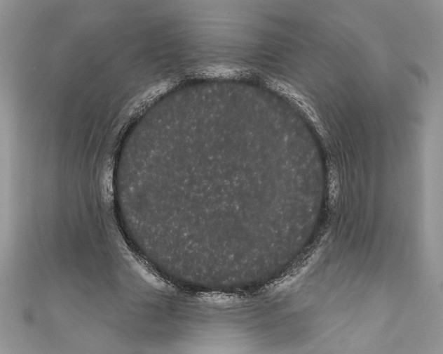 X0000111050633200907161406