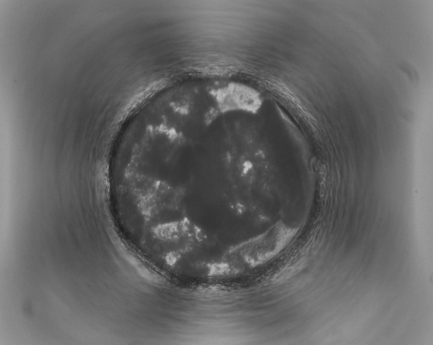 X0000111050634200907161406