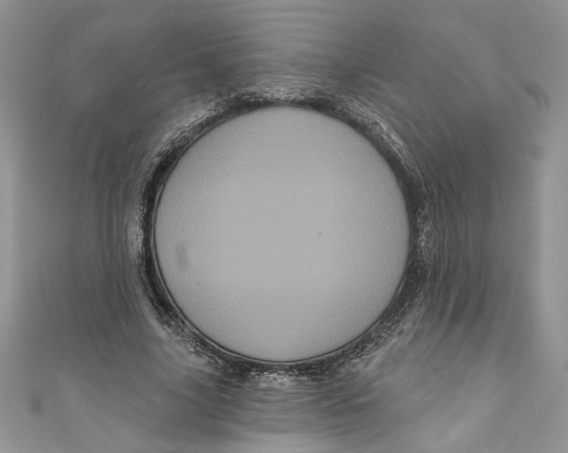 X0000111050635200907161406