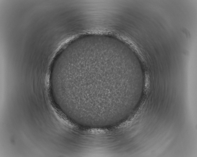 X0000111050636200907161406