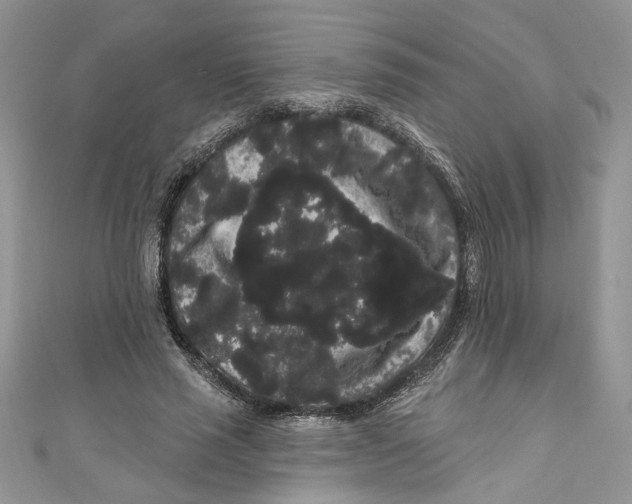 X0000111050637200907161406