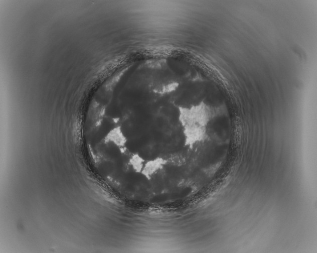 X0000111050641200907161406