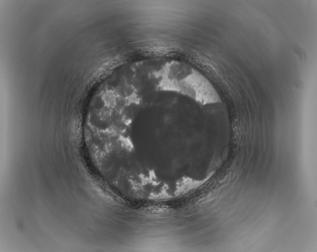 X0000111050642200907161406