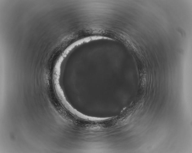 X0000111050643200907161406