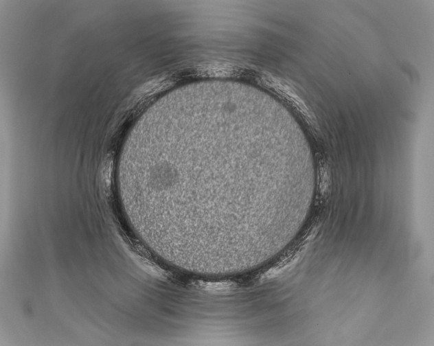 X0000111050645200907161406