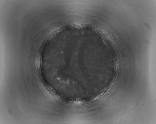 X0000111050647200907161406