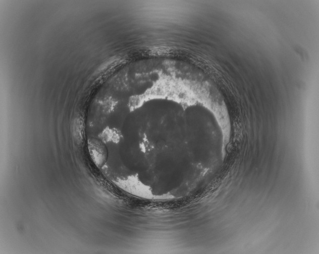 X0000111050648200907161406