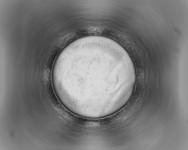 X0000111050649200907161406