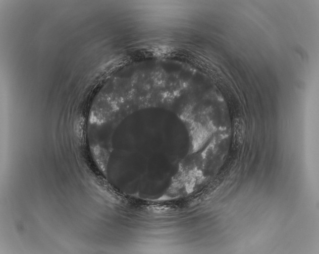 X0000111050650200907161406