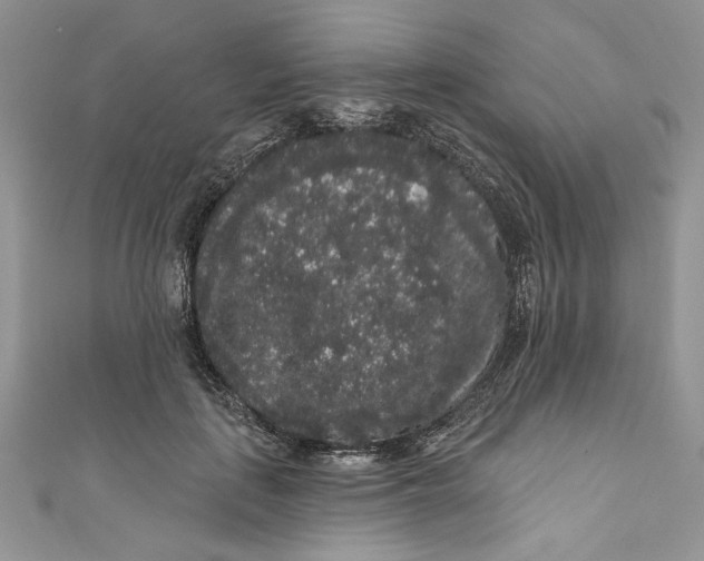 X0000111050651200907161406