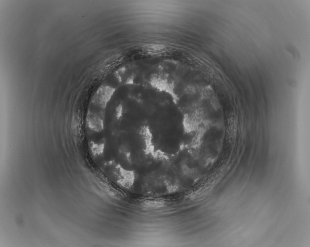 X0000111050653200907161406