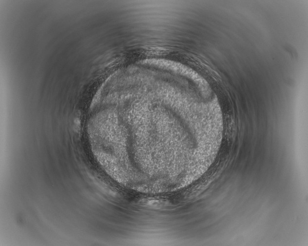 X0000111050655200907161406