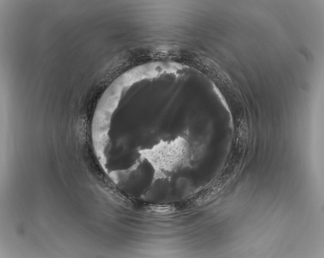 X0000111050659200907161406