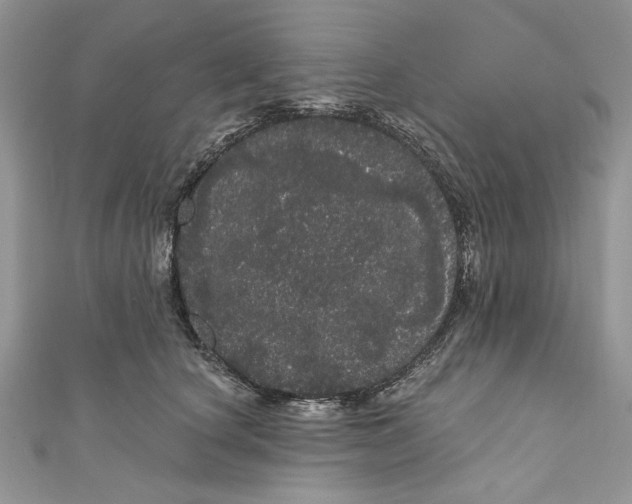 X0000111050660200907161406