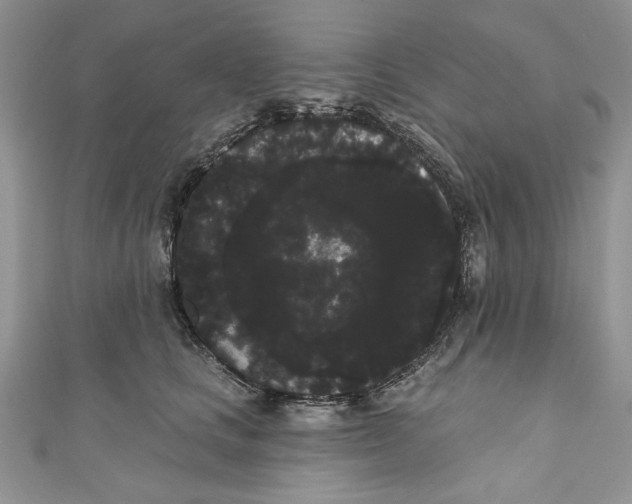 X0000111050661200907161406